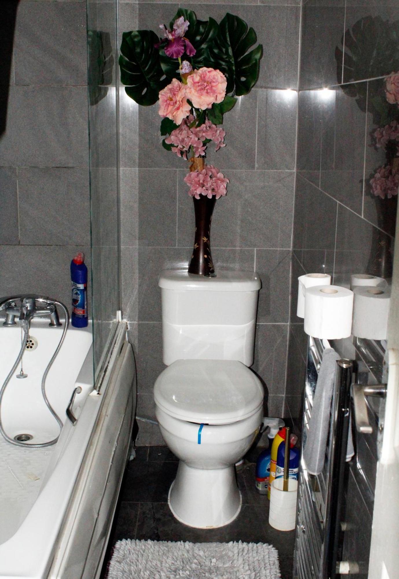 Cozy Rooms Or Entire Apartment In London, Fast Links To Central Екстер'єр фото